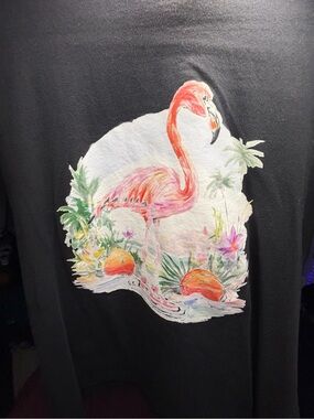 Jordan Black Tee with Red Jumpman and Pink Flamingo Graphic